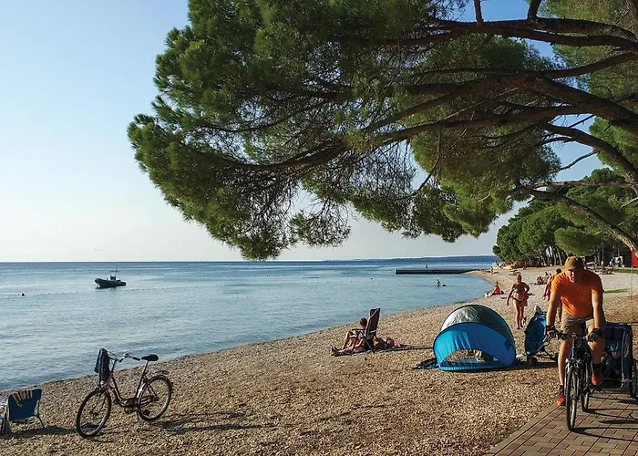 Beautiful In With Kitchen